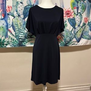 Fitted Blouson Style Cape Dress Keyhole Back Ann Taylor Size 0